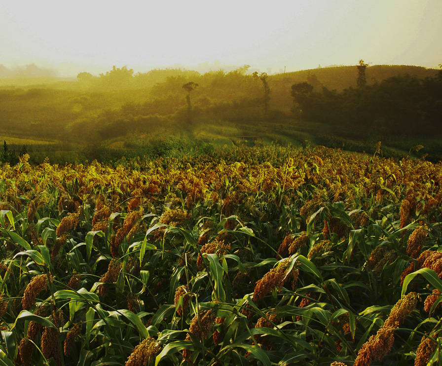 首页- 人生就是博中国官网入口