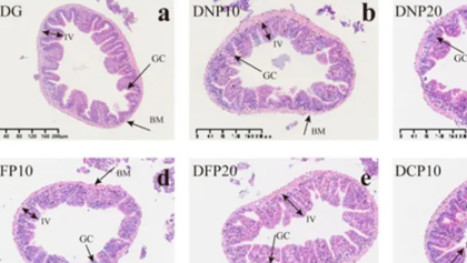 首页- 人生就是博中国官网入口